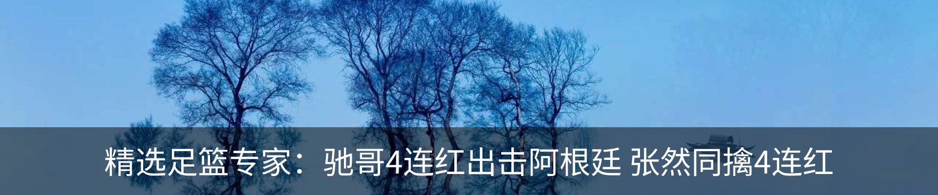 内页banner